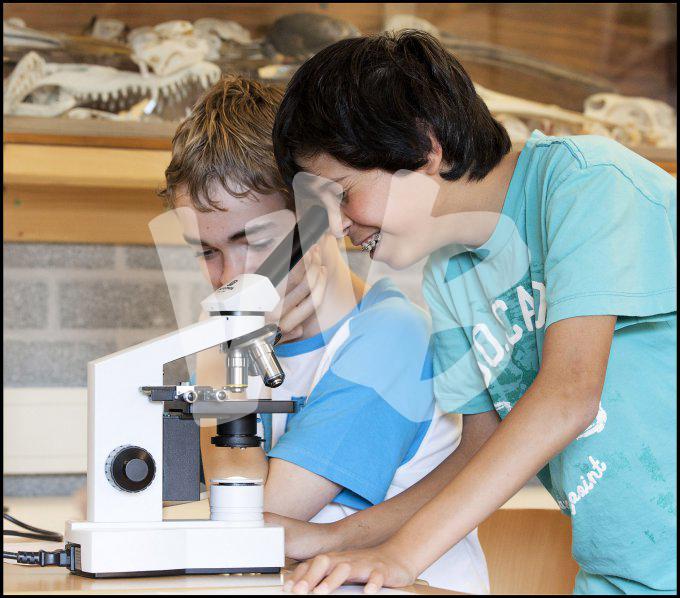 vvbvanbree div onderwijs 2177