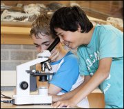 vvbvanbree div onderwijs 2177