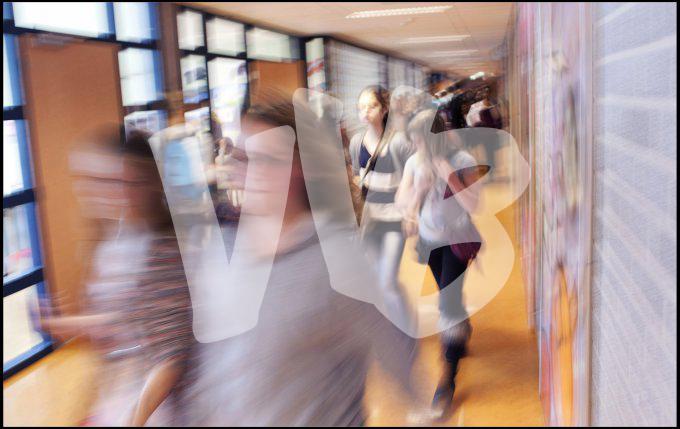 vvbvanbree div onderwijs 2183