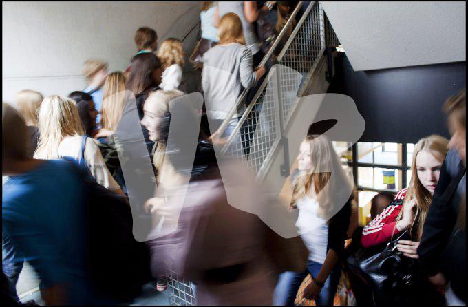 vvbvanbree div onderwijs 2184