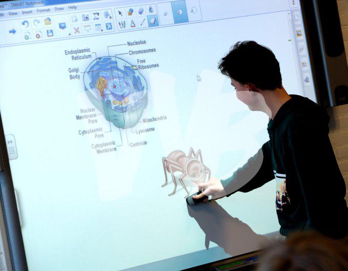 vvbvanbree div onderwijs 2189