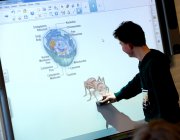 vvbvanbree div onderwijs 2189