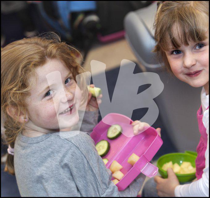 vvbvanbree div onderwijs 2354