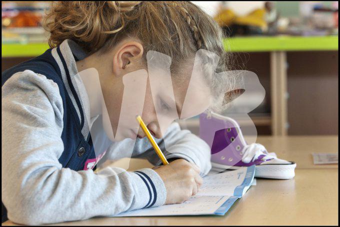 vvbvanbree div onderwijs 2362