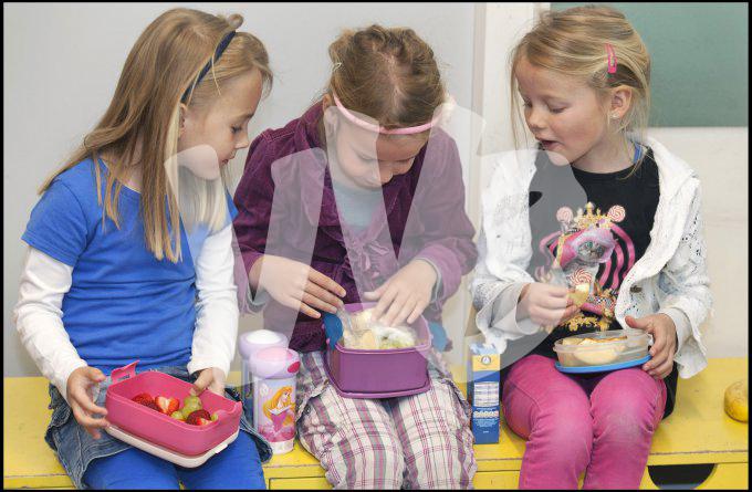 vvbvanbree div onderwijs 2378