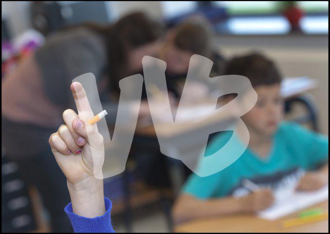 vvbvanbree div onderwijs 2395