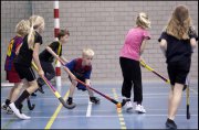 vvbvanbree div onderwijs 2397