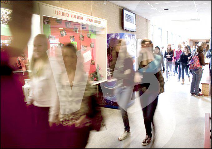 vvbvanbree div onderwijs  737