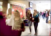 vvbvanbree div onderwijs  737