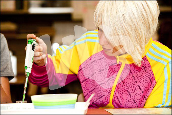 vvbvanbree div onderwijs  740