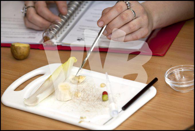 vvbvanbree div onderwijs  765
