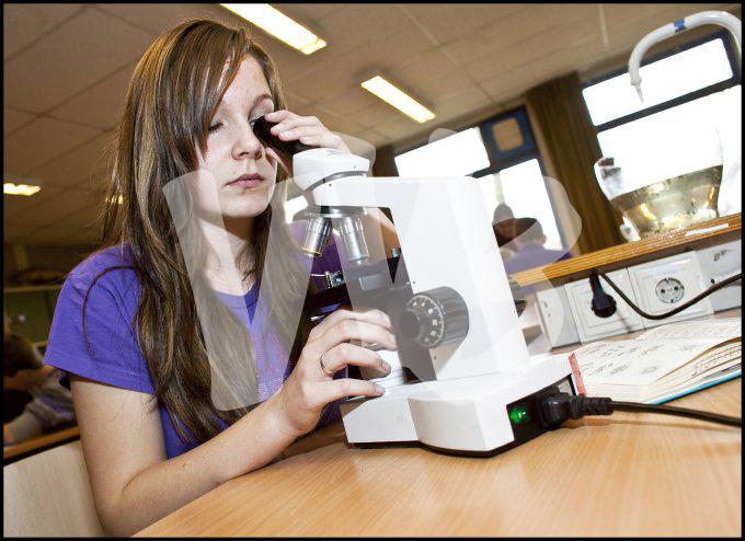 vvbvanbree div onderwijs  766