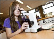 vvbvanbree div onderwijs  766