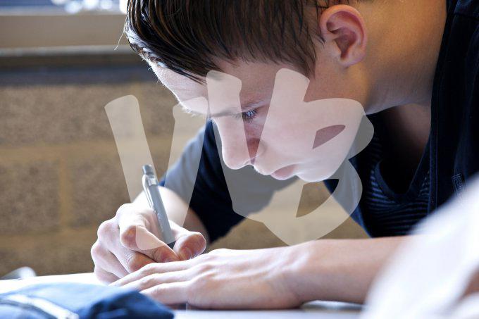 vvbvanbree div onderwijs  771