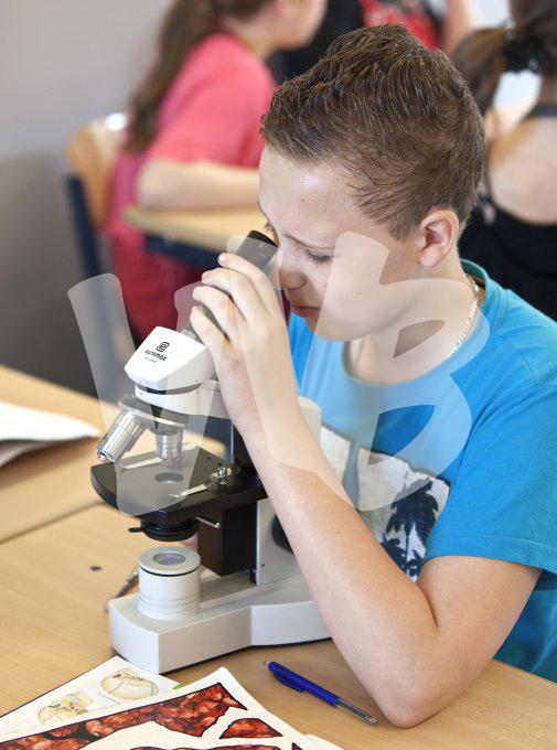 vvbvanbree div onderwijs  774