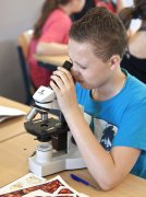 vvbvanbree div onderwijs  774