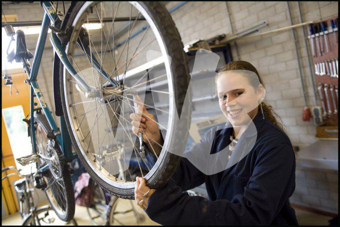 vvbvanbree div onderwijs  801