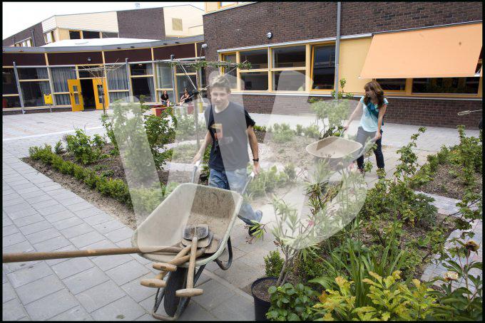 vvbvanbree div onderwijs  802