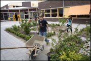 vvbvanbree div onderwijs  802