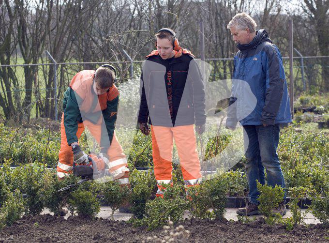 vvbvanbree div onderwijs  805