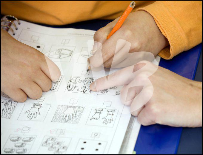 vvbvanbree div onderwijs  817