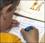 vvbvanbree div onderwijs  819