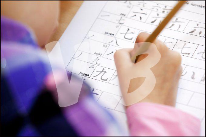 vvbvanbree div onderwijs  829