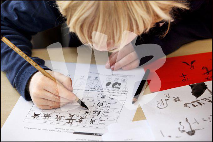 vvbvanbree div onderwijs  830