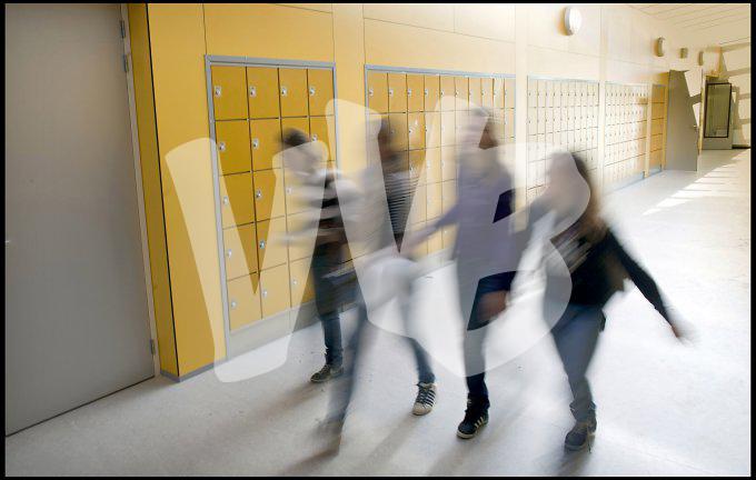 vvbvanbree div onderwijs  834