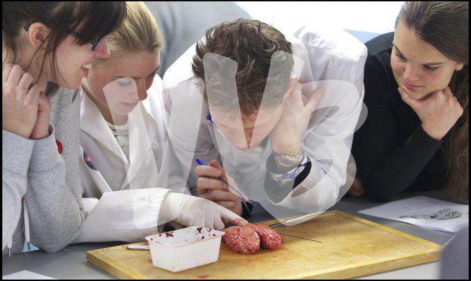 vvbvanbree div onderwijs  863