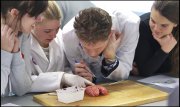 vvbvanbree div onderwijs  863
