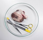 vvbvanbree onderwijs   1020