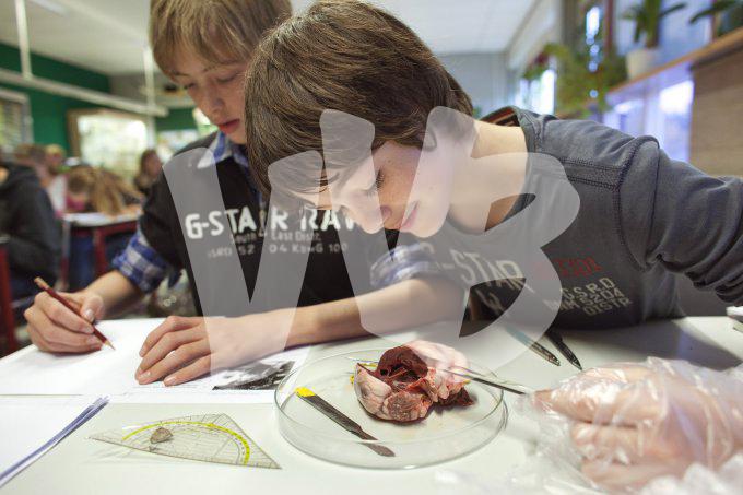 vvbvanbree onderwijs   1022