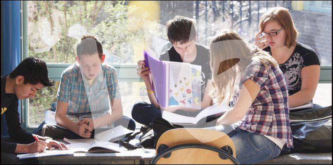 vvbvanbree onderwijs   981