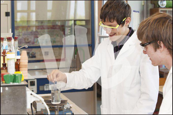 vvbvanbree onderwijs   985