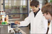 vvbvanbree onderwijs   985