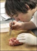 vvbvanbree practicum2034
