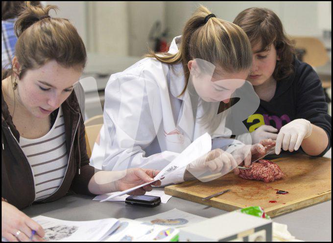vvbvanbree practicum2035