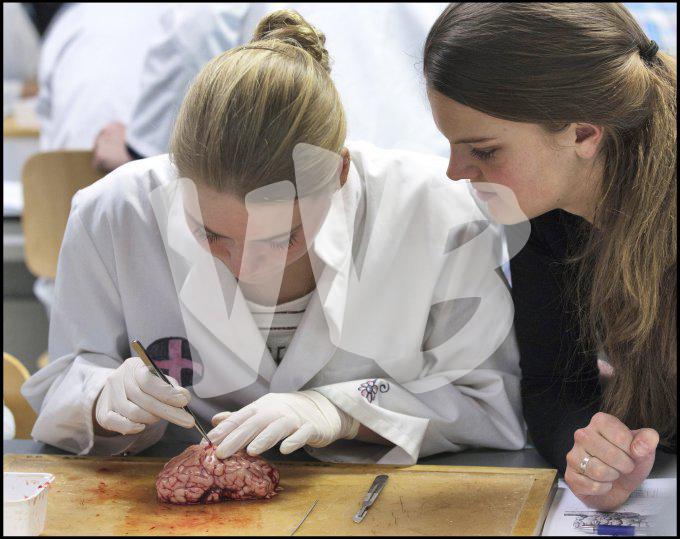 vvbvanbree practicum2037