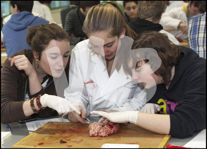 vvbvanbree practicum2038