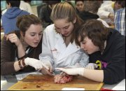 vvbvanbree practicum2038