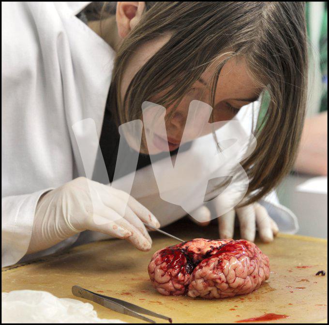 vvbvanbree practicum2041