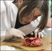 vvbvanbree practicum2041