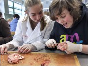 vvbvanbree practicum2043