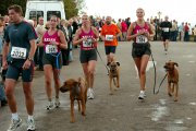 posbankloop  vvbvanbree  2271
