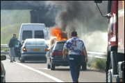 vvbvanbree div verkeer 666
