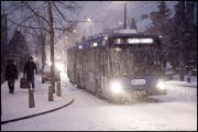vvbvanbree div verkeer 668