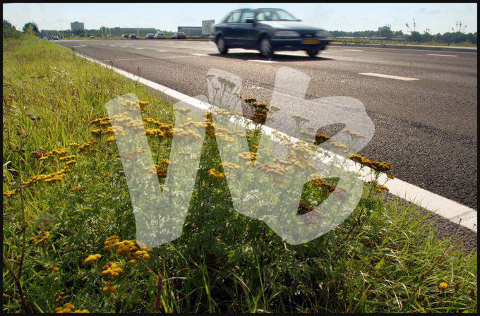 vvbvanbree div verkeer 689