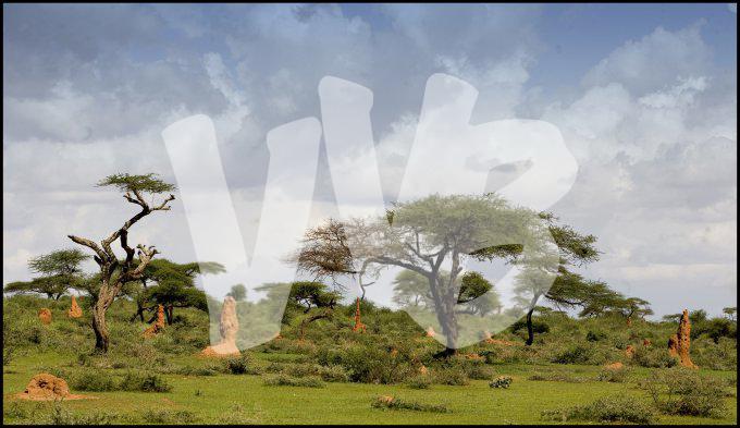 Ethiopie vvbvanbree  34 kopie