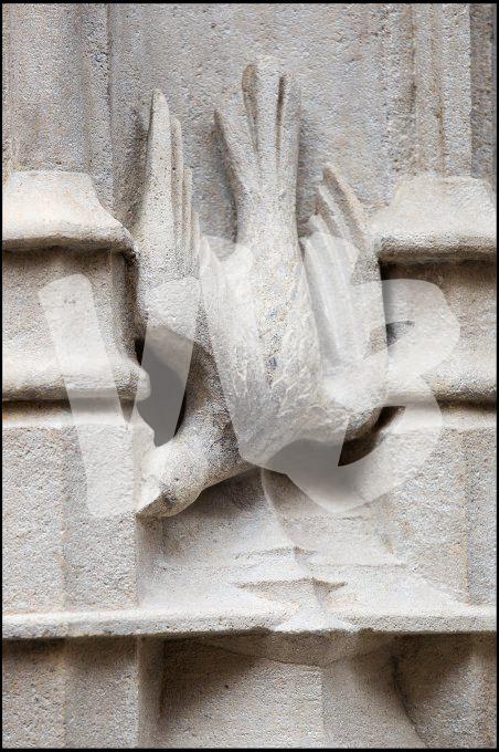 vvbfoto puicheric DV4C3720